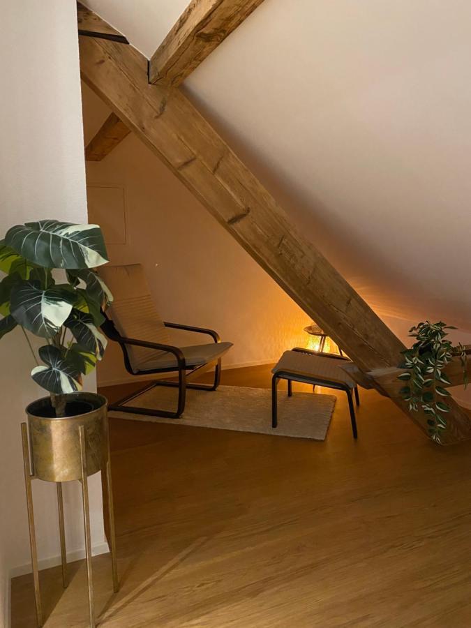 Eine Schoene An Der Birs Apartamento Basilea