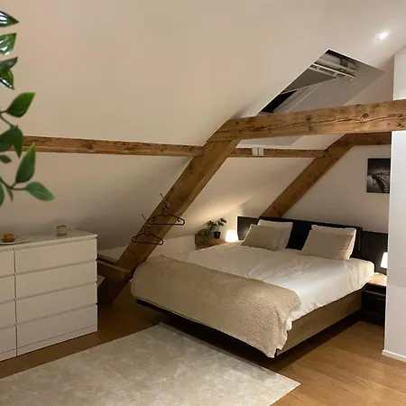 Eine Schoene Wohnung An Der Birs Bâle Extérieur photo