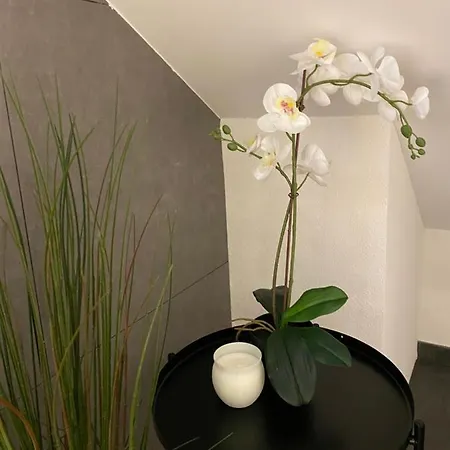 Eine Schoene Wohnung An Der Birs Bâle Extérieur photo