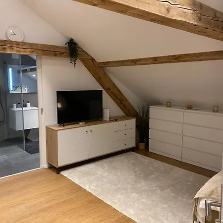 Eine Schoene Wohnung An Der Birs Bâle Extérieur photo
