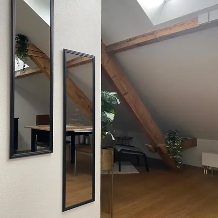 Eine Schoene Wohnung An Der Birs Bâle Extérieur photo