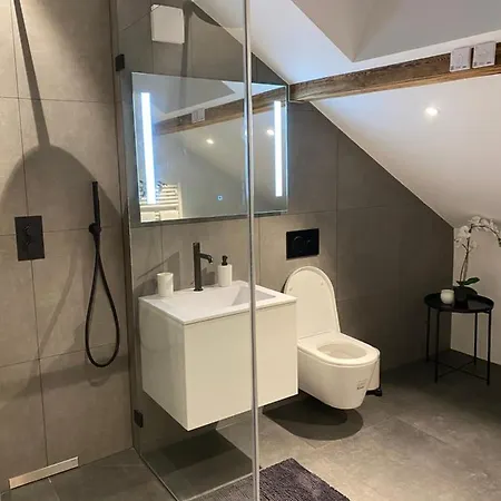 Eine Schoene Wohnung An Der Birs Bâle Extérieur photo