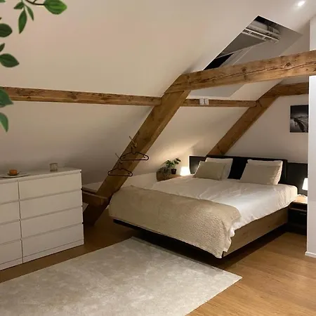 Eine Schoene Wohnung An Der Birs Bâle Extérieur photo
