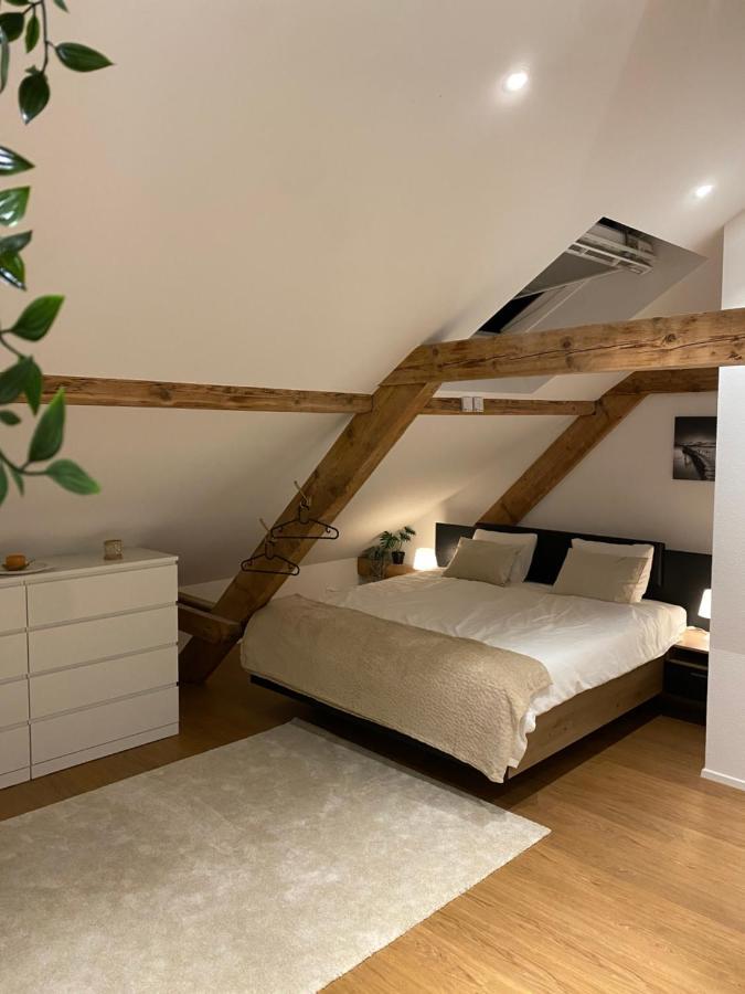 Apartment Eine Schoene An Der Birs Basel