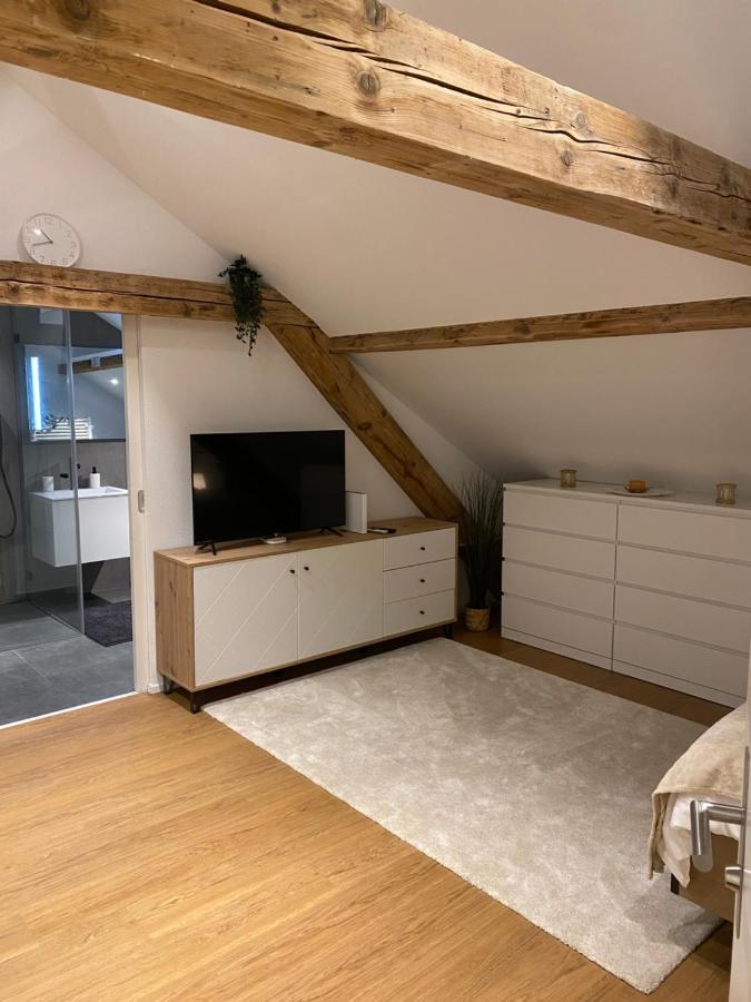 Apartment Eine Schoene An Der Birs Basel